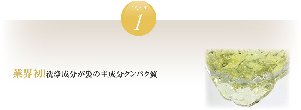 業界初！洗浄成分が髪の主成分タンパク質