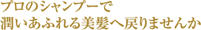 プロのシャンプーで潤いあふれる美髪へ戻りませんか