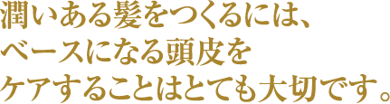 潤いある髪をつくるには、ベースになる頭皮をケアすることはとても大切です。