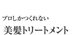 プロしかつくれない美髪トリートメント